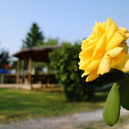 Agriturismo Ai Vigneti ปอนติ ซุล มินโช ภายนอก รูปภาพ